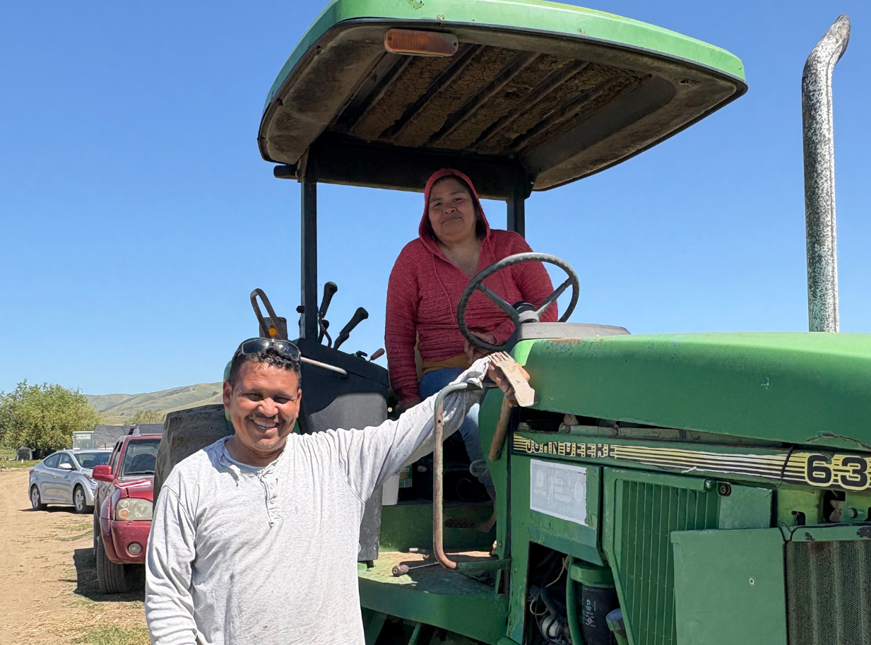 Maritza Farm